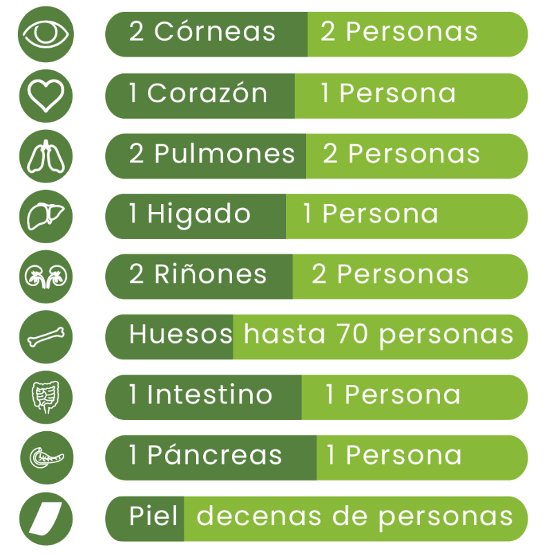 Infografía de donaciones que genera cada órgano y tejido