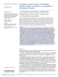 Emerging of ptxP3 lineage in Bordetella-1-01