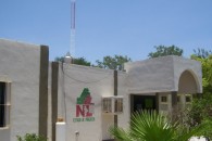 jur051401nogalar