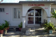 jur060601ejidopalmitos